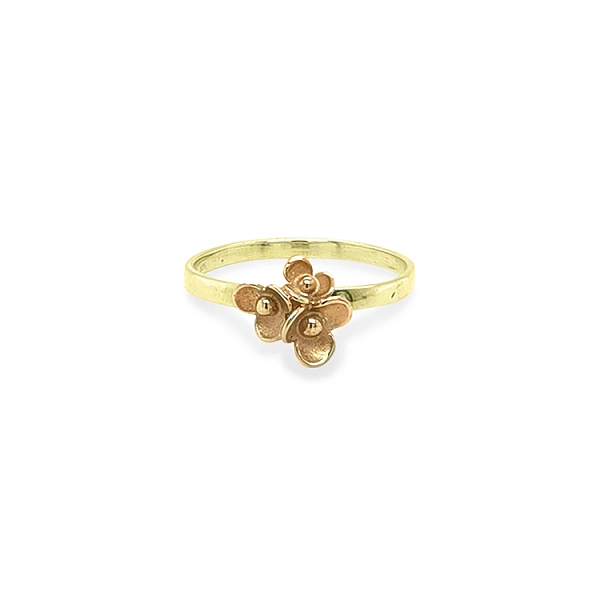 Goldring Blume