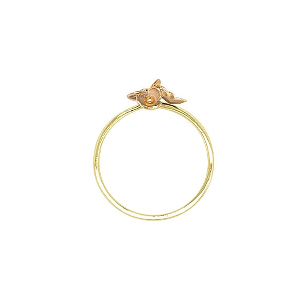 Goldring Blume