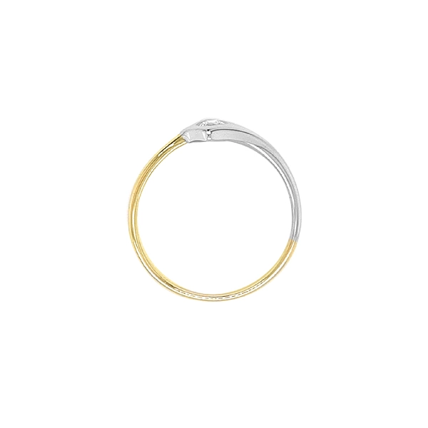 Goldring aus Kombinationsgold