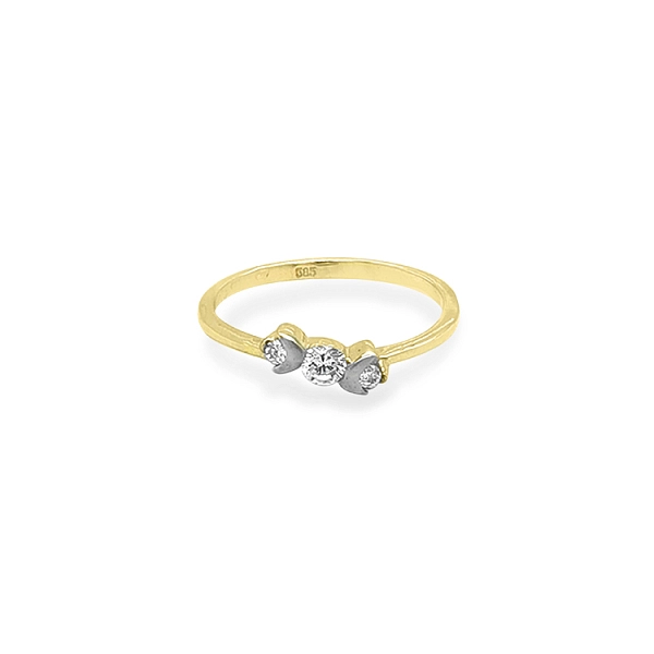 Goldring mit Zirkonen