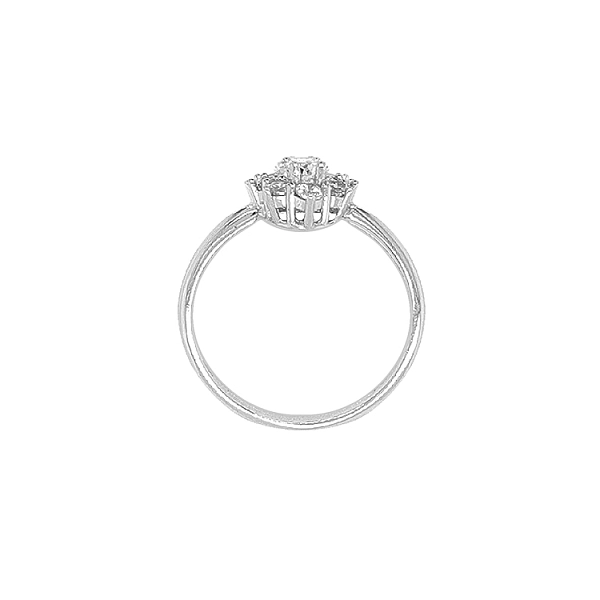 Goldring mit Zirkonen