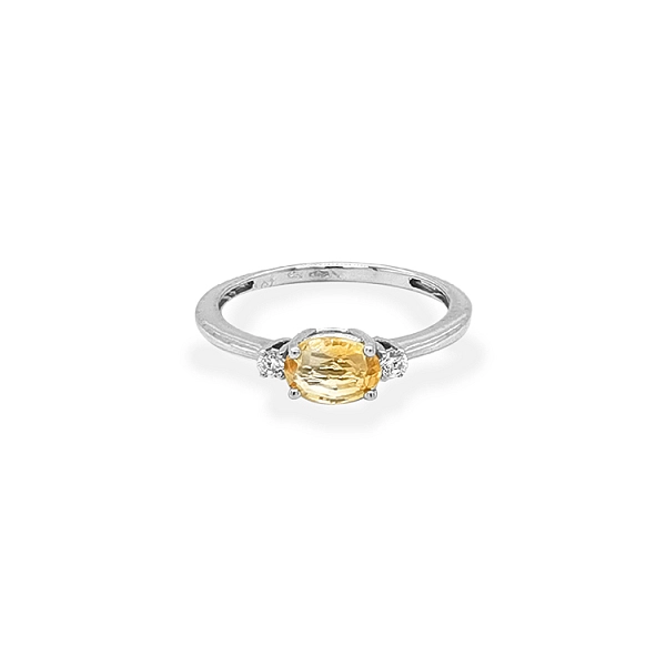 Goldring mit Zirkonen