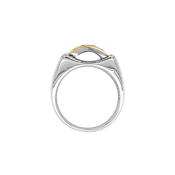 Goldring mit Zirkonen
