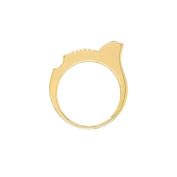 Goldring mit Zirkonen