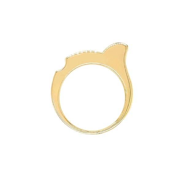 Goldring mit Zirkonen