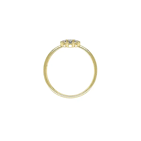 Goldring mit farbigen Steinen