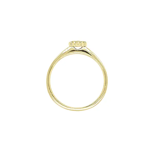 Goldring mit Zirkonen