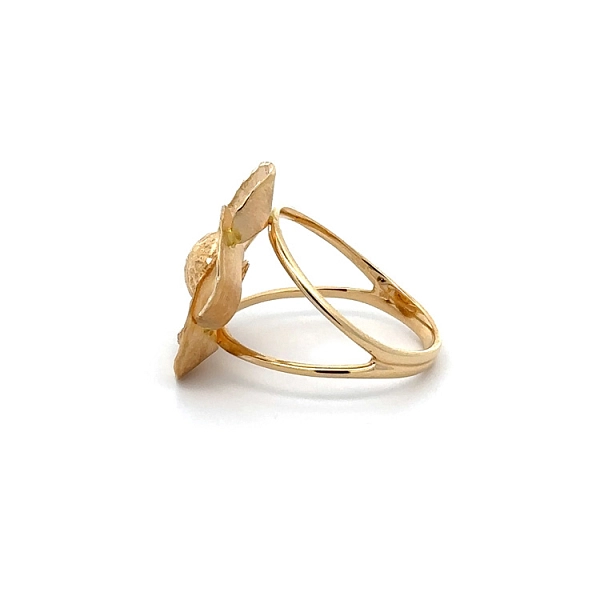 Goldring Blume