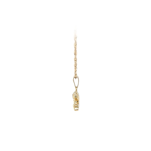 Goldener Delphin-Anhänger mit Zirkonen