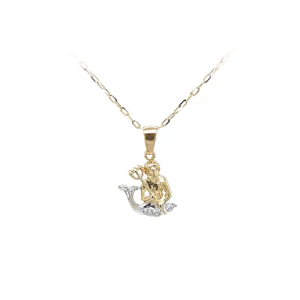 Gold-Anhänger Wassermann