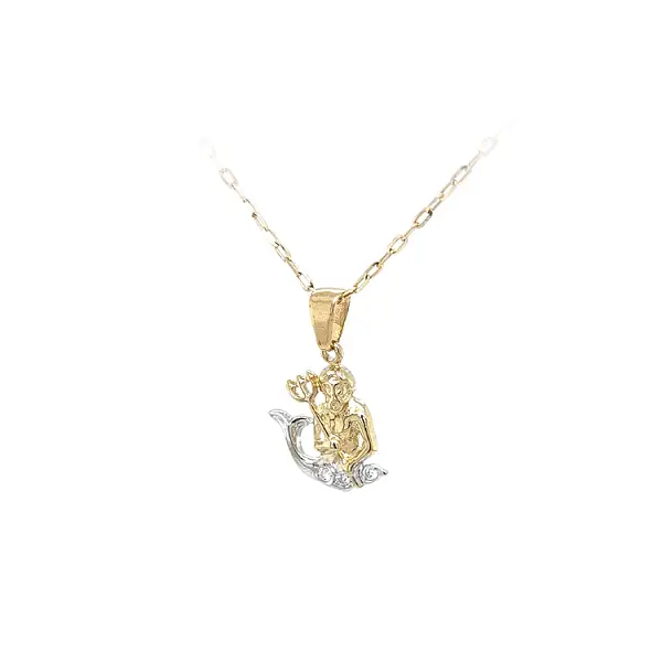 Gold-Anhänger Wassermann