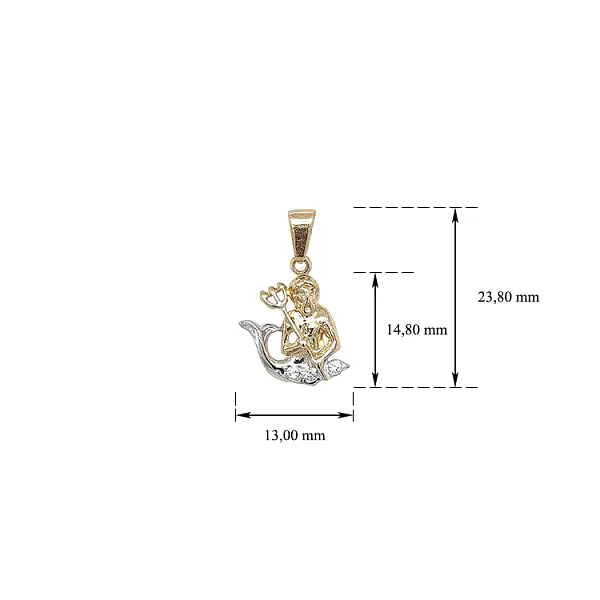 Gold-Anhänger Wassermann