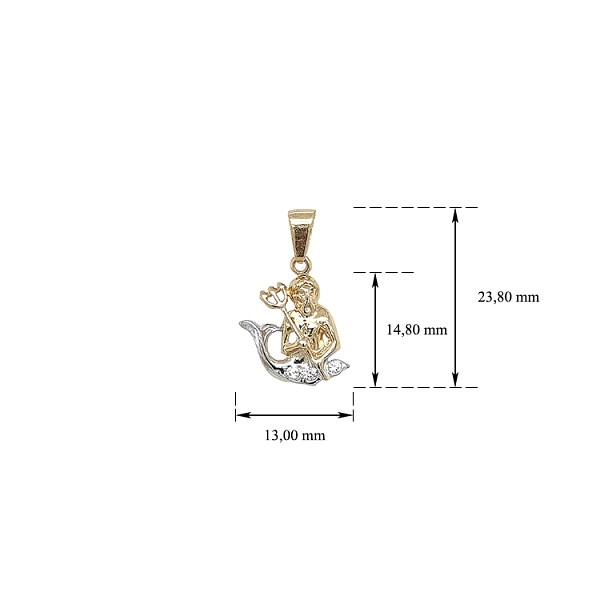 Gold-Anhänger Wassermann
