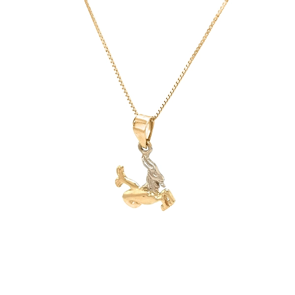 Gold-Anhänger Zeichen des Steinbocks