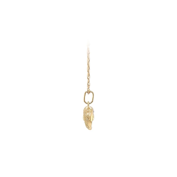 Goldener Delphin-Anhänger