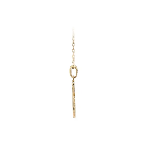 Gold-Anhänger Seepferdchen mit Zirkonen