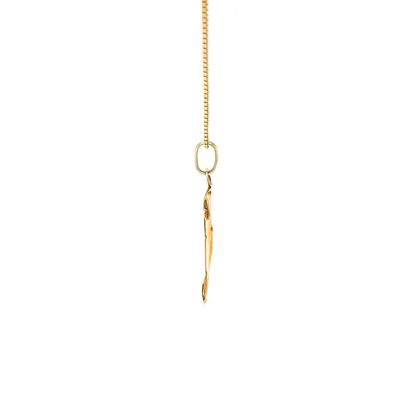 Gold-Anhänger Wassermann