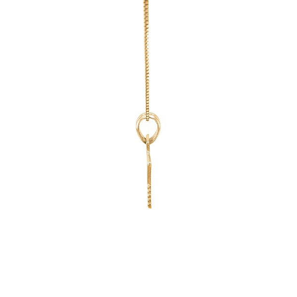 Gold-Anhänger Zeichen des Steinbocks