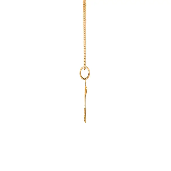 Gold-Anhänger Wassermann