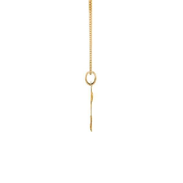 Gold-Anhänger Wassermann