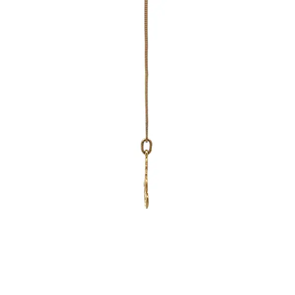 Gold-Anhänger Seepferdchen