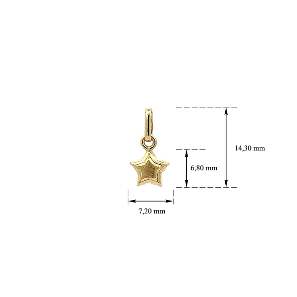 Gold Seestern-Anhänger