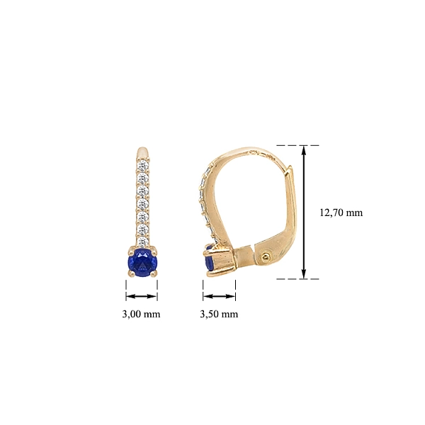 Gold-Ohrringe mit Zirkonen