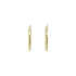 Elegante goldene Creolen