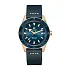 Rado Captain Cook Automatik Bronze R32504205