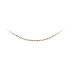 Goldene Ankerkette