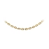 Goldene Ankerkette