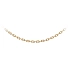 Goldene Ankerkette