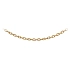 Goldene Ankerkette