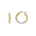 Elegante Creolen aus Bicolor-Gold