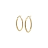 Gold Runde Ohrringe