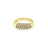 Goldring mit Zirkonen