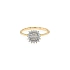 Goldring mit Zirkonen