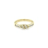 Goldring mit Zirkonen