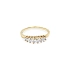 Goldring mit Zirkonen