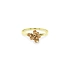Goldring Blume