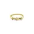 Goldener Ring