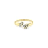 Goldring mit Zirkonen
