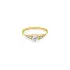 Goldring mit Zirkonen