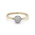 Goldring mit Zirkonen