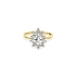 Goldring mit Zirkonen