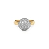 Goldring mit Zirkonen