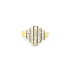 Goldring mit Zirkonen