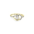 Goldring mit Zirkonen
