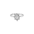 Goldring mit Zirkonen