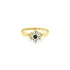 Goldring mit farbigen Steinen